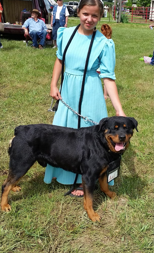 sonja, headings, dog, breeder, certificate, sonja-heading, dog-breeder, mo, summerville, missouri, usda, daschund, rottweiler, puppy, puppies, ACA, IC